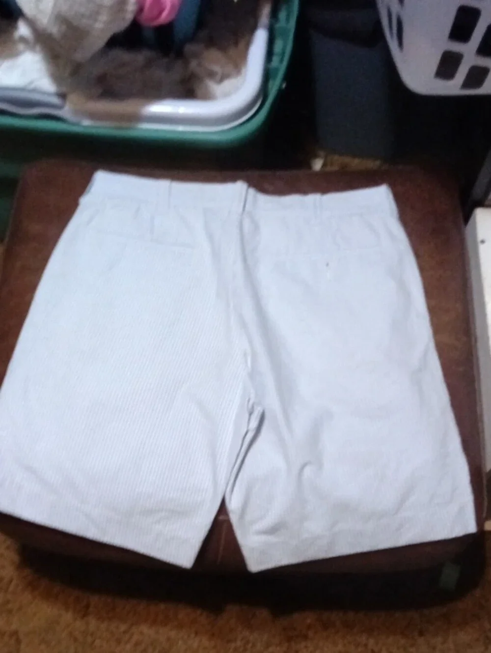 J. Crew White with Light Blue Pinstripe Flat-Front Men's Shorts
